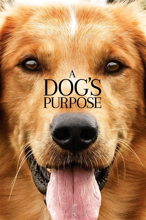 a dog's purpose online pl|More.